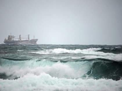 Госдеп попросил Россию разъяснить условия возобновления зерновой сделки