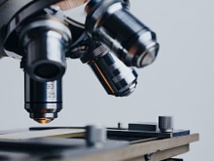 В Чувашии два человека заразились сибирской язвой