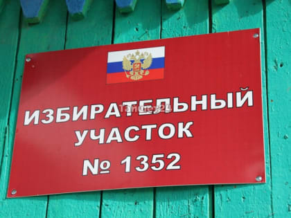 Явка на выборы к 15:00 вплотную приблизилась к отметке в 20%