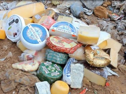 В Хабаровске уничтожили около 80 килограммов европейских сыров