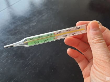 За неделю в Иркутской области зарегистрировано 25 813 случаев заражения ОРВИ