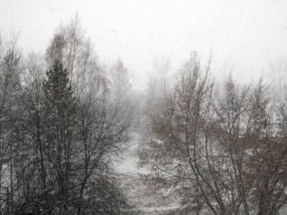 Снежно и ветрено будет в Иркутске в воскресенье