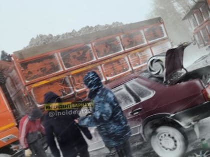 На трассе Барнаул - Рубцовск столкнулись большегруз и легковой автомобиль