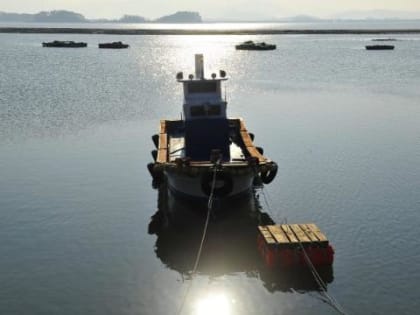 Реконструкция рыбного порта в Магадане: новые возможности для экономики региона