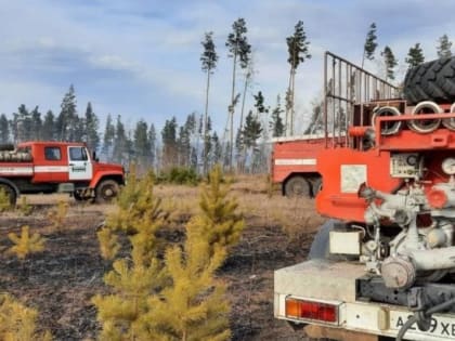 Один лесной пожар локализовали в Приангарье за прошедшие сутки