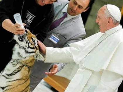 Папа Римский готов посмотреть леопардов, тигров, оленей и лотосы в Приморье