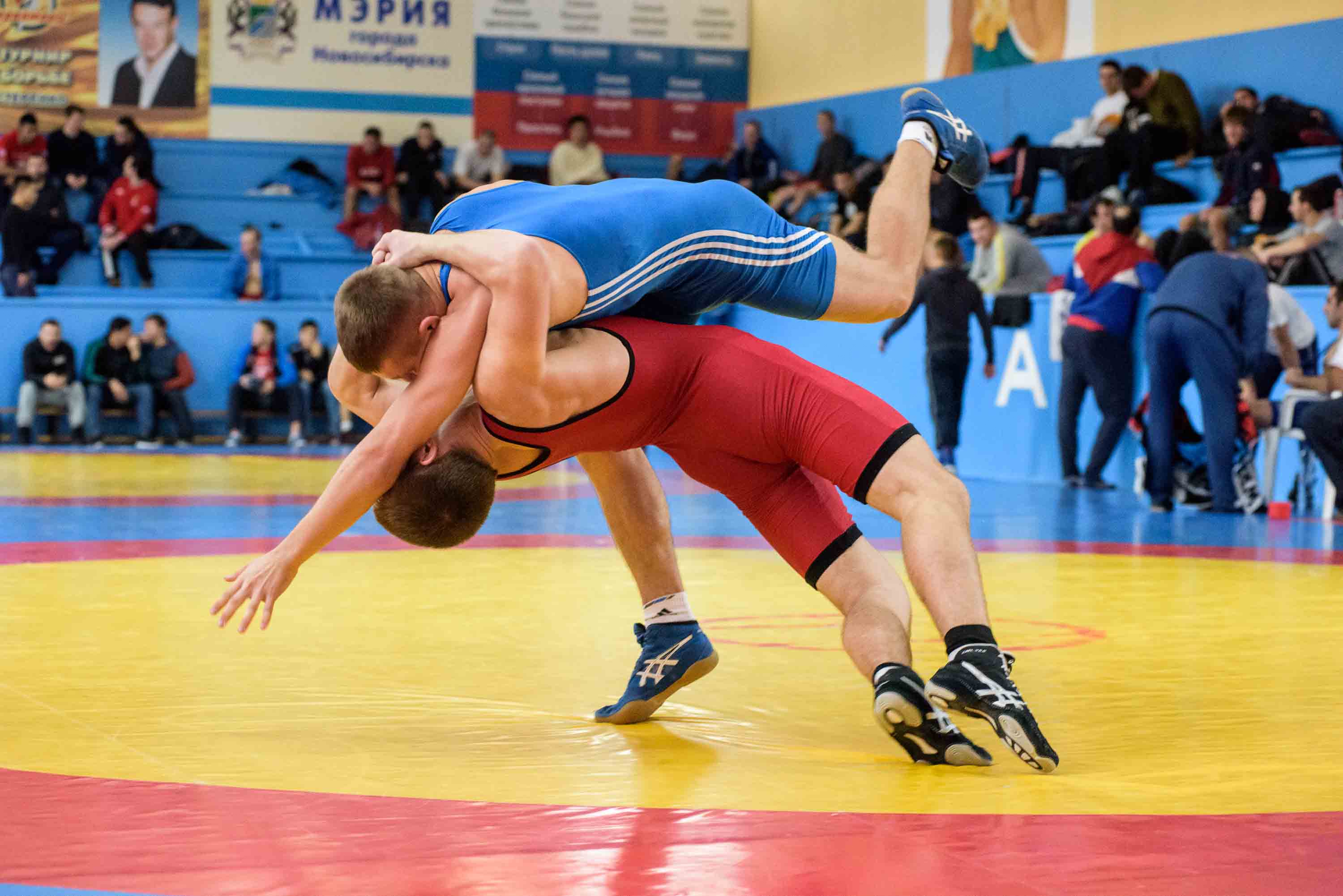 Sports wrestling. Ридван Османов борец. Арунат Кучинов греко-Римская борьба. Греко-Римская, Вольная борцы. Греко-Римская борьба Архангельск.