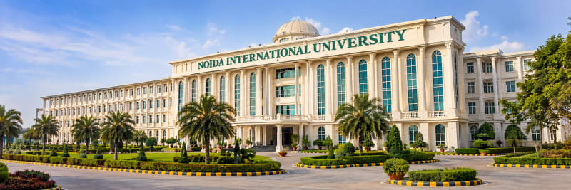 Noida International University