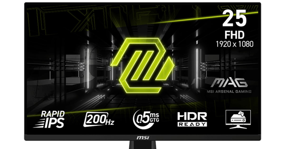MONITOR LED IPS MSI MAG255F E20 WIDESCREEN 25
