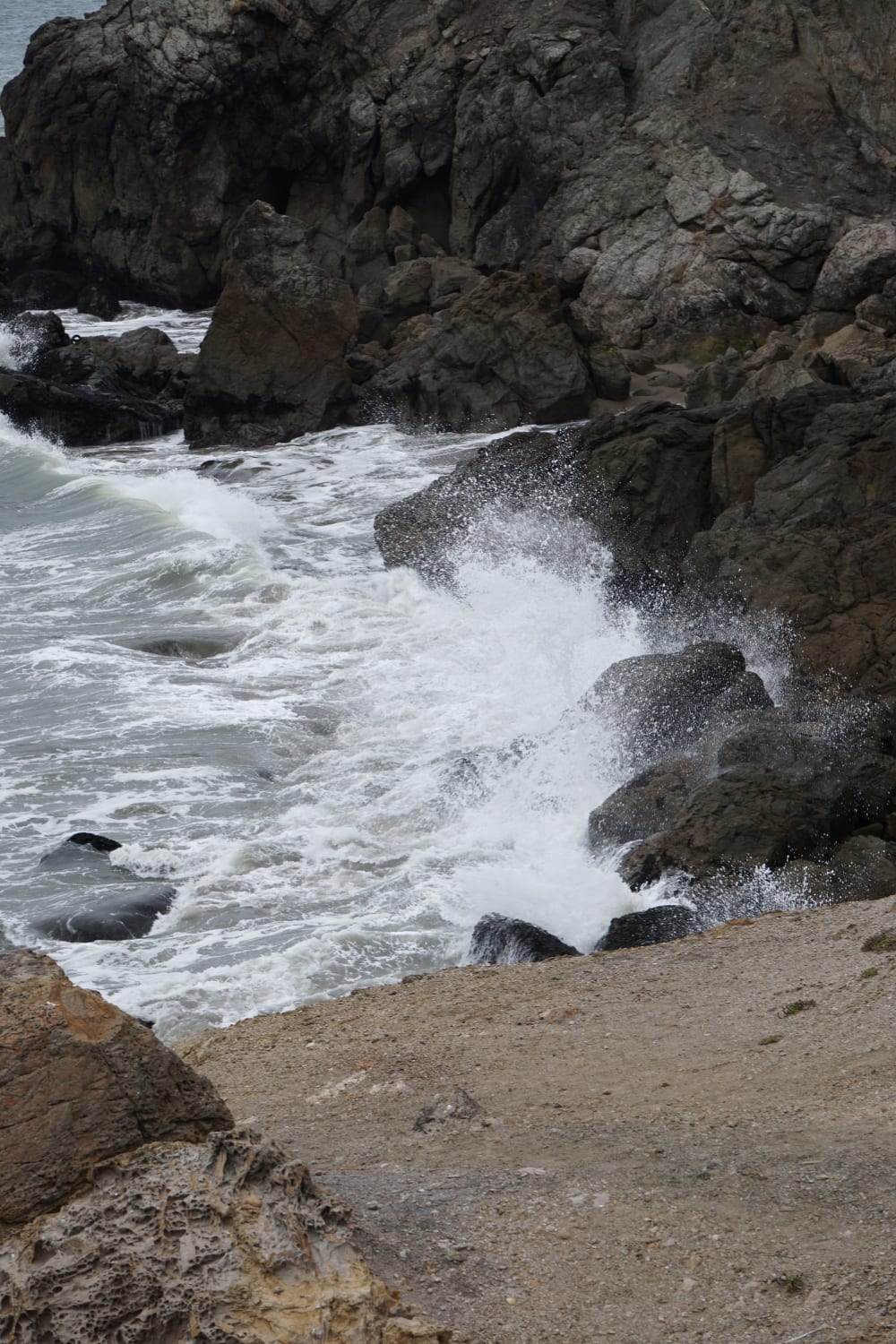 Photo - DSC07286_uggtx7