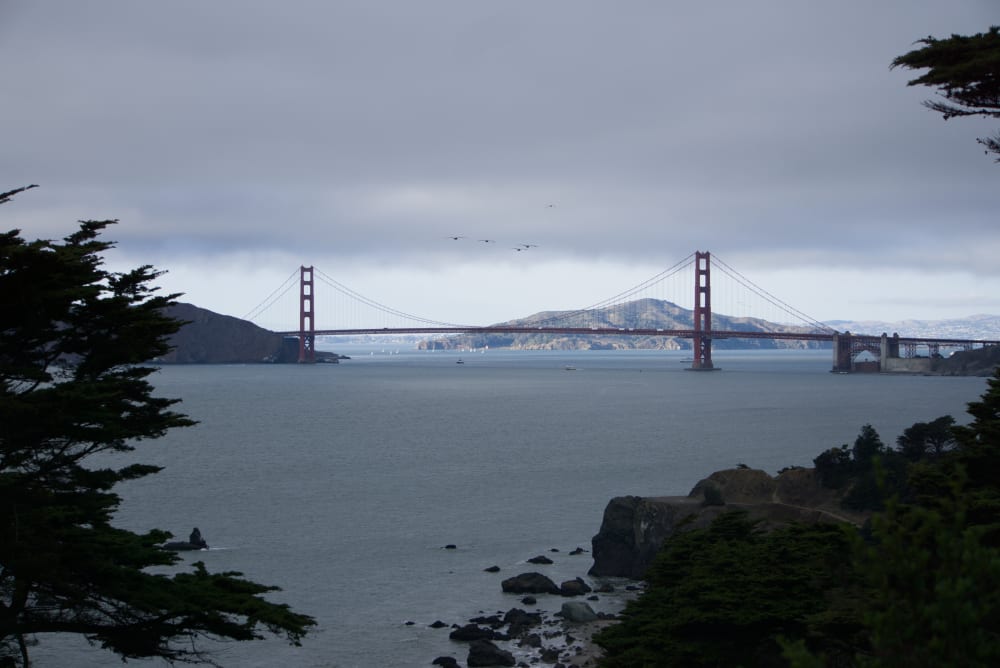 Photo - DSC07481_t7f5cn