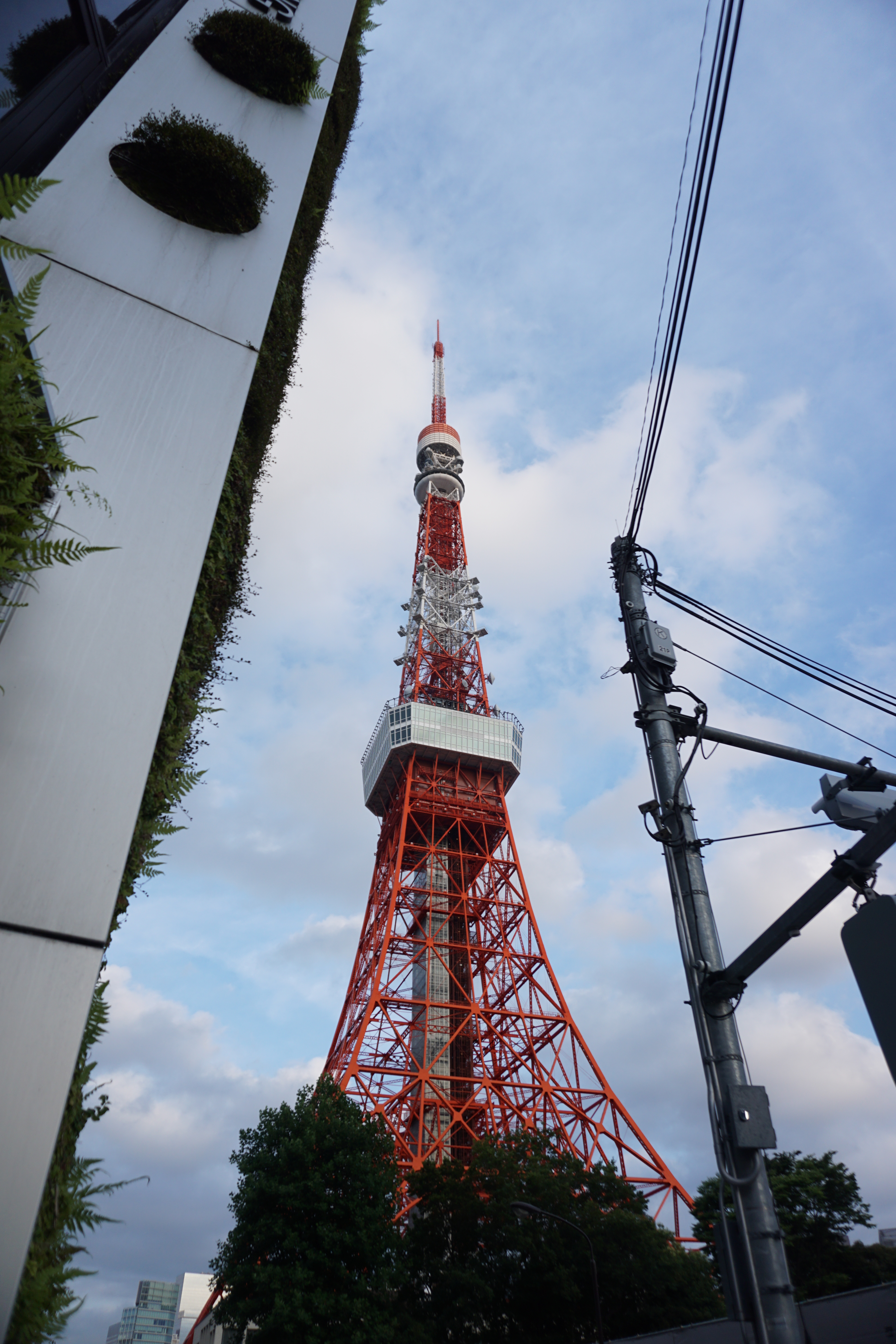 Photo - DSC05123_fzwrra
