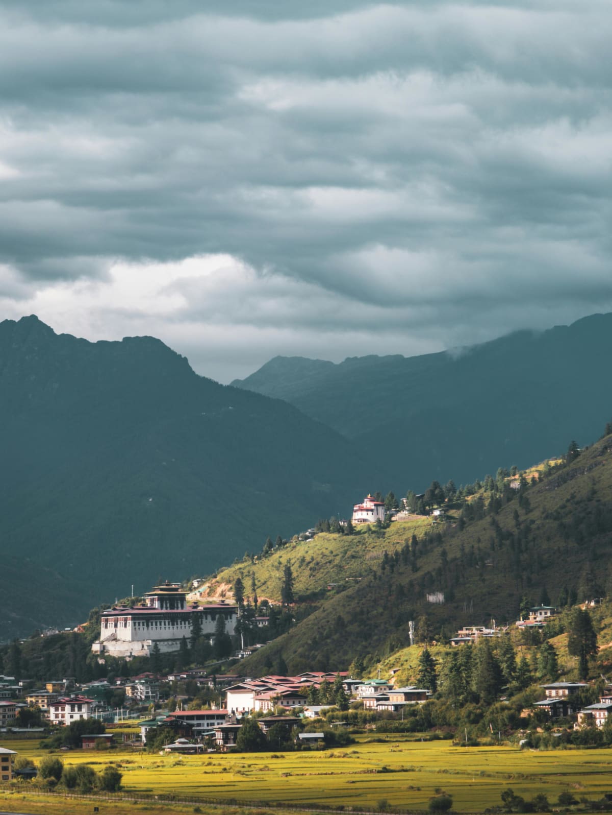 De Timbu a Paro - Day 6 of Trek de Peregrinación al Nido del Tigre