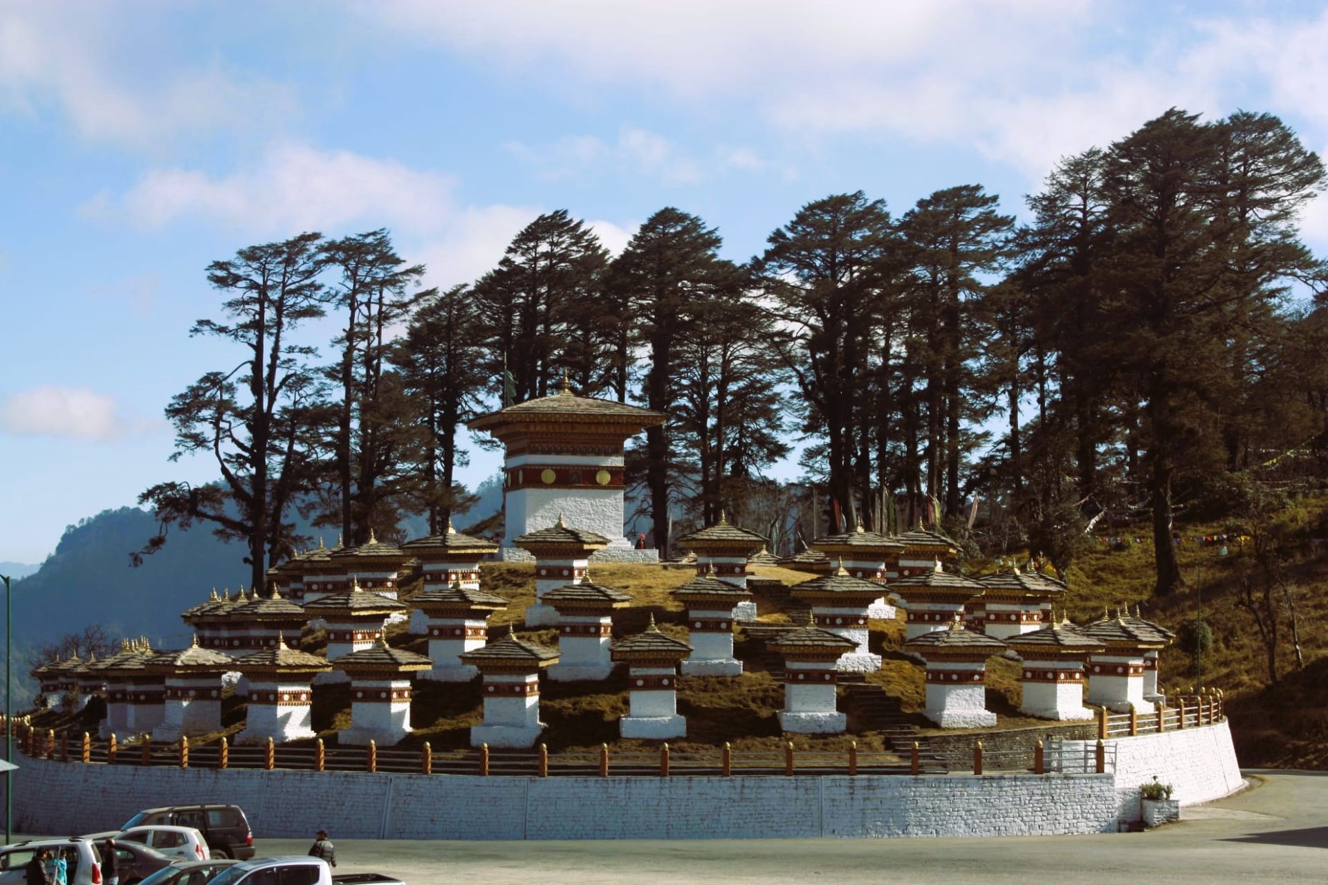 Dónde Comer en Timbu: Guía Gastronómica de la Escena Culinaria de la Capital