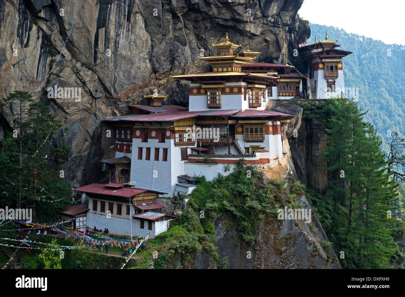 Tiger's Nest Trek Complete Guide 2026: Bhutan's Most Iconic Pilgrimage