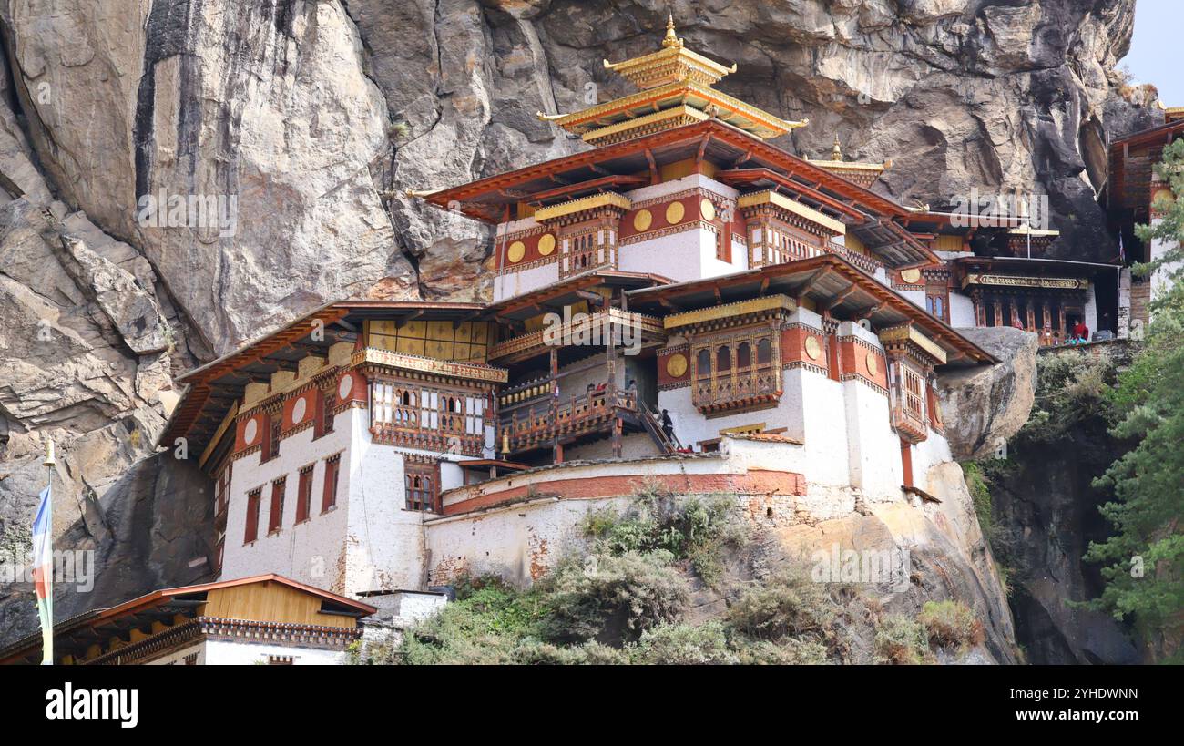 Pengalaman Menginap Autentik di Perkebunan Bhutan: Hidup Seperti Lokal di Punakha dan Paro