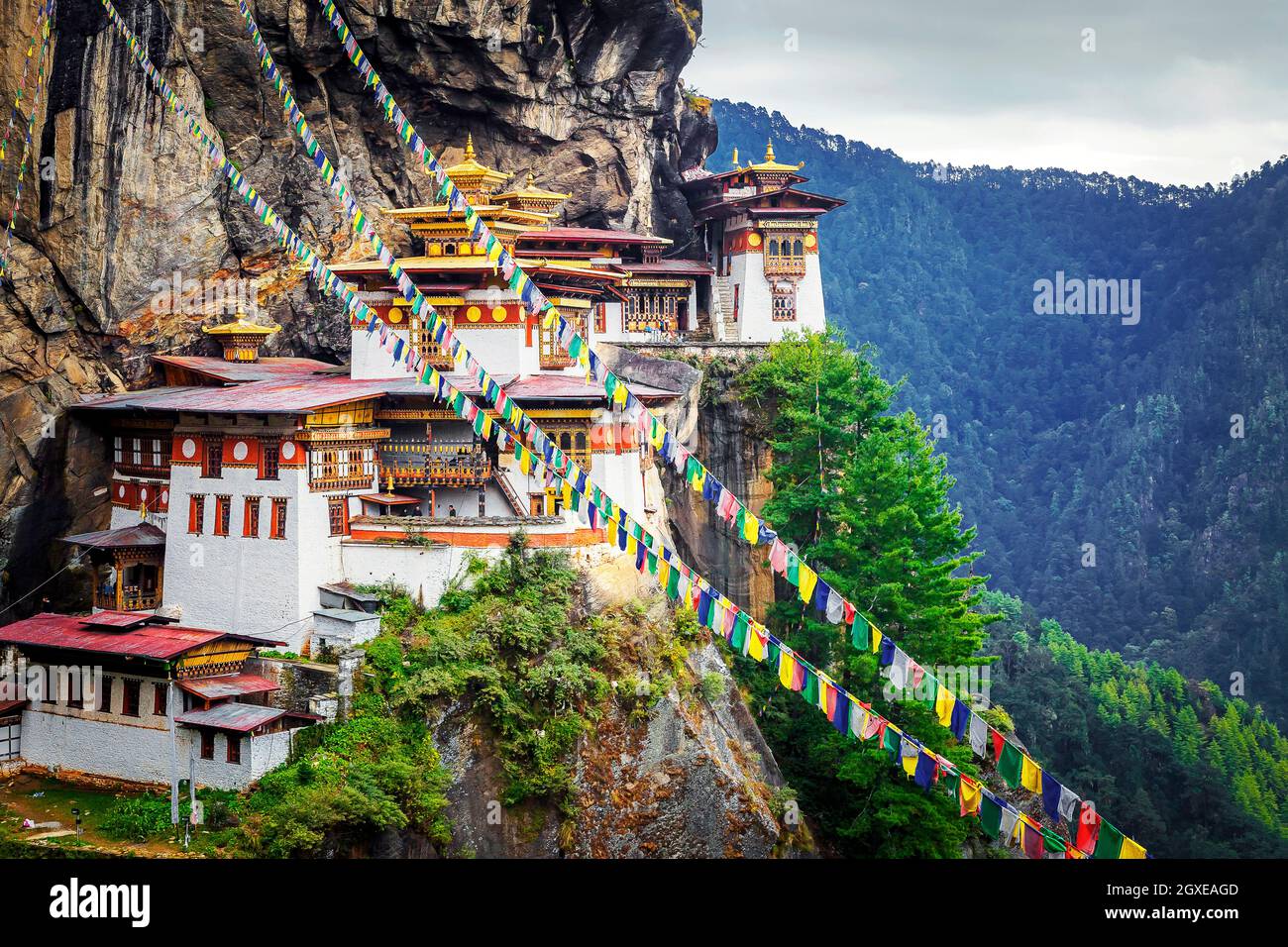 Tango Monastery Guide: Meditation, Monks, and Spiritual Retreat Above Thimphu