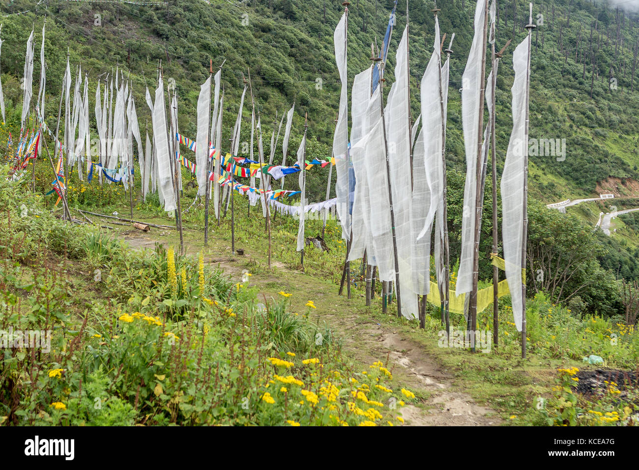 Bhutanese Food Guide: What to Eat in Thimphu