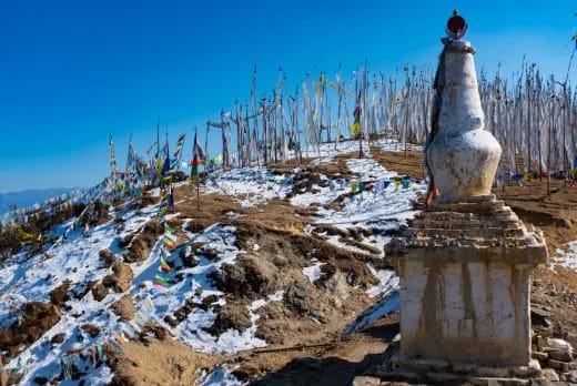 Pengalamanan Ladang Autentik di Bhutan: Hidup Seperti Tempatan di Punakha & Paro