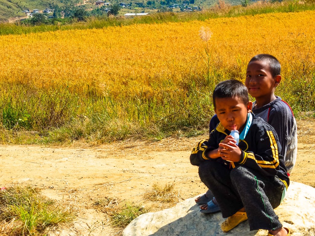 Bhutan Wildlife & Nature Guide: Pristine Forests and Rare Species