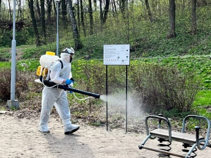 Парки и скверы Воронежа начали обрабатывать от комаров и клещей