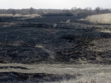 Риски пожаров не снизились в Воронежской области с уходом аномальной жары