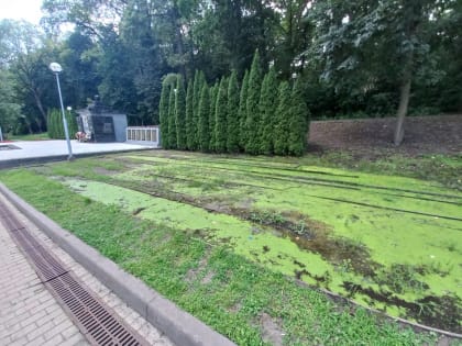 У братской могилы в Центральном парке Воронежа образовалось болото