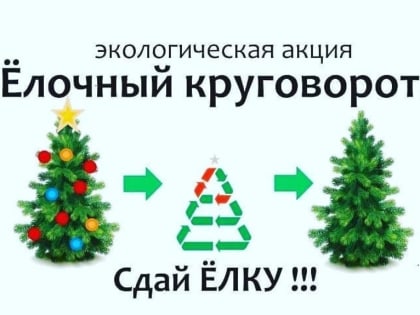 В Богучаре запускают экологическую акцию «Елочный круговорот».  Предлагаем жителям  передать новогодние ели в  пункты сбора