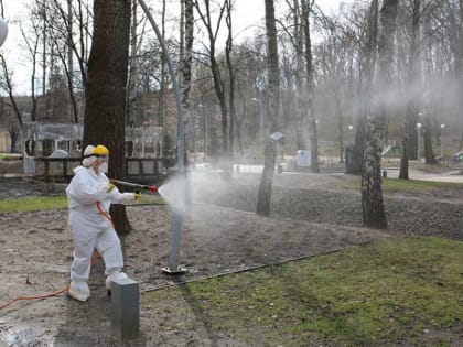 В воронежских парках увеличат площадь обработки против клещей и комаров