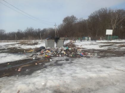 Амбиции скандальной чиновницы Концовой обломили в Воронежском облсуде