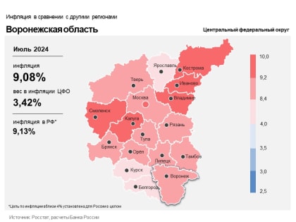 Инфляция в Воронежской области достигла 9,08% в июле 2024 года