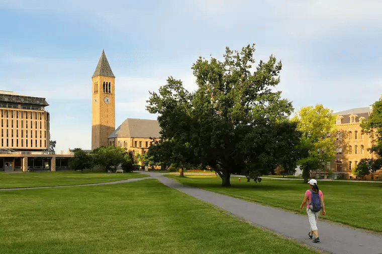 Cornell university campus with a large grassy lawn, a prominent clock tower, academic buildings, and a person walking along a paved path during daytime.