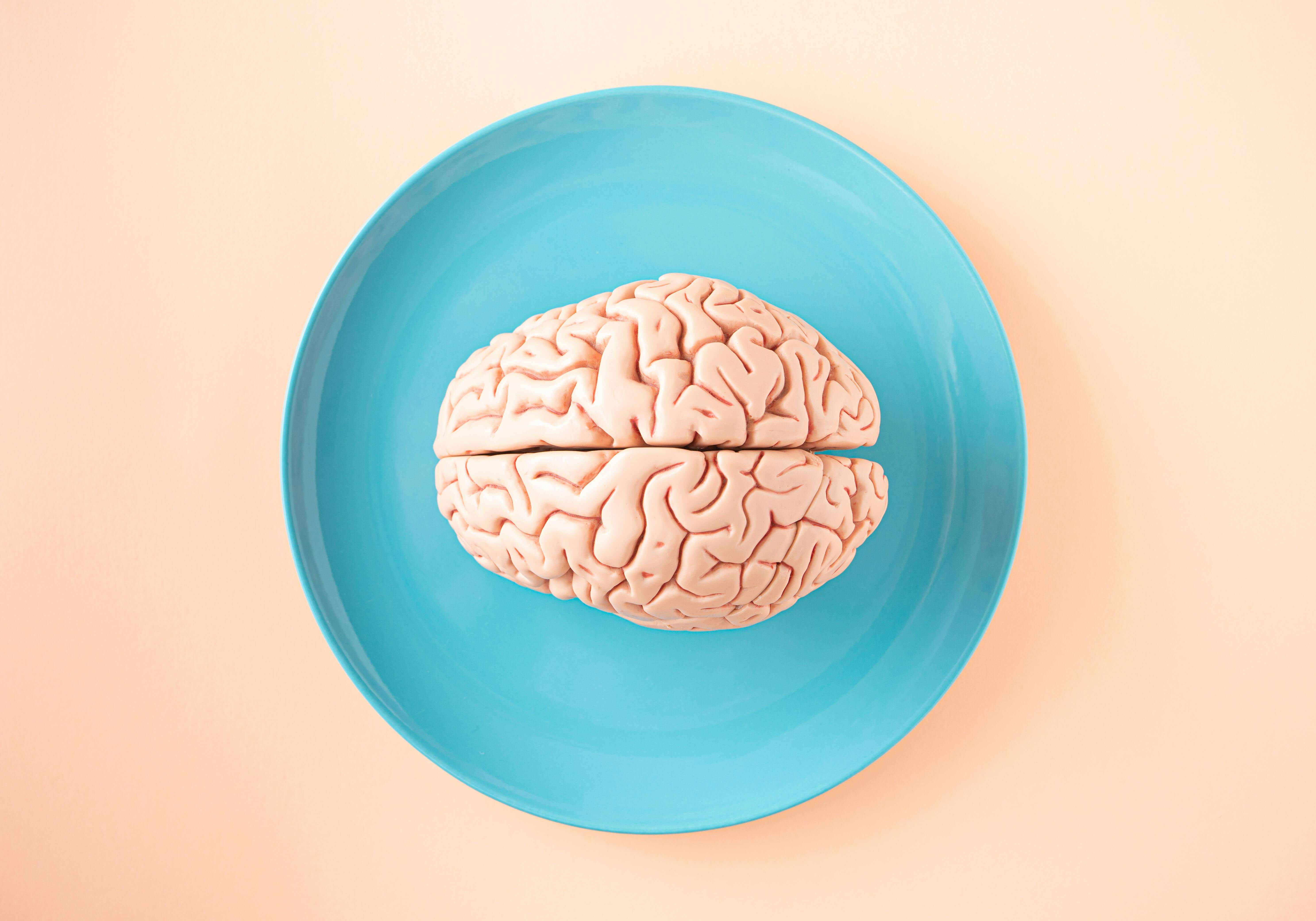 A detailed brain model placed on a bright blue plate against a pastel background—evokes memory and the science behind spaced repetition.