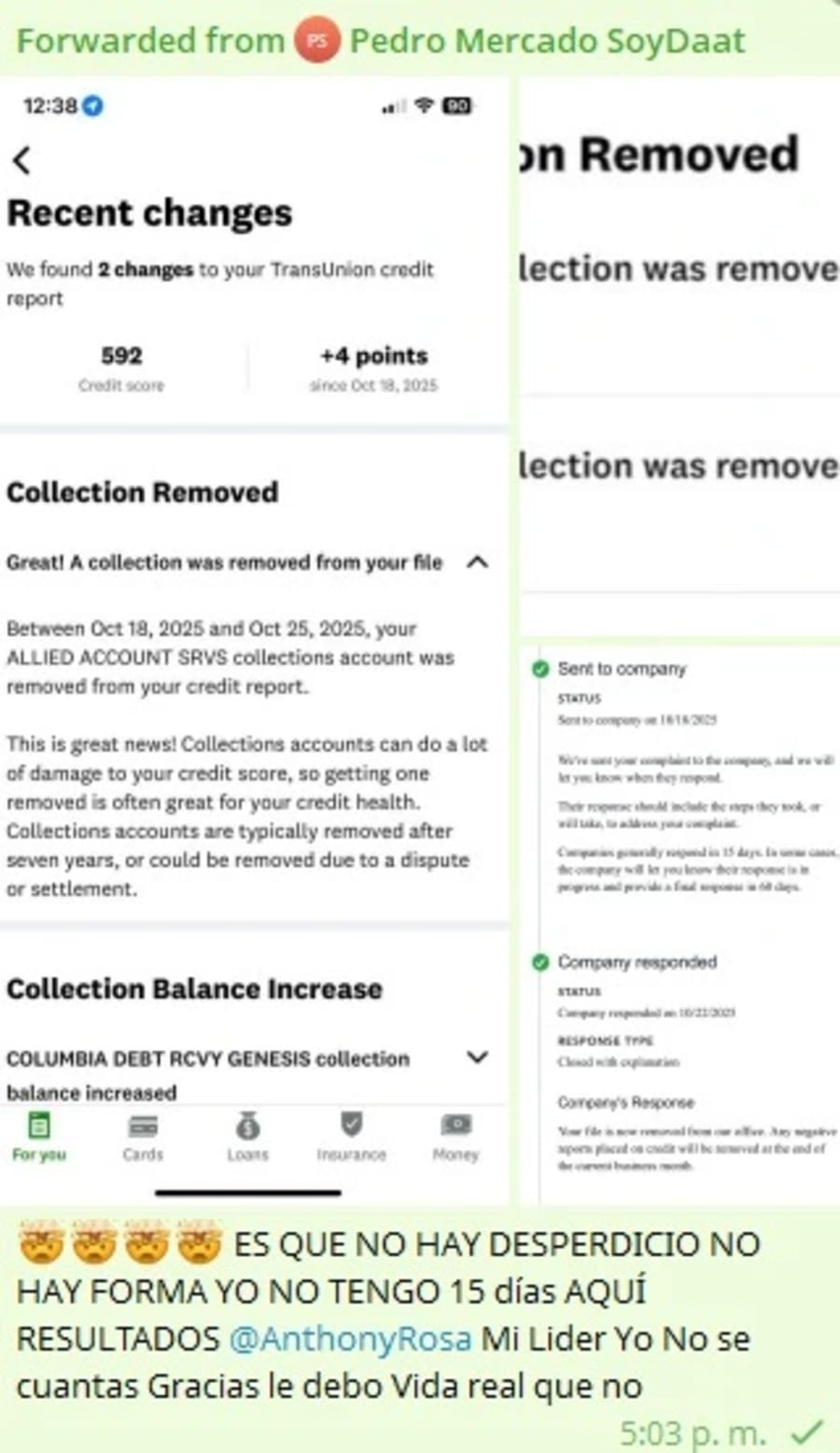 Best credit repair course in the USA showing real client transformations