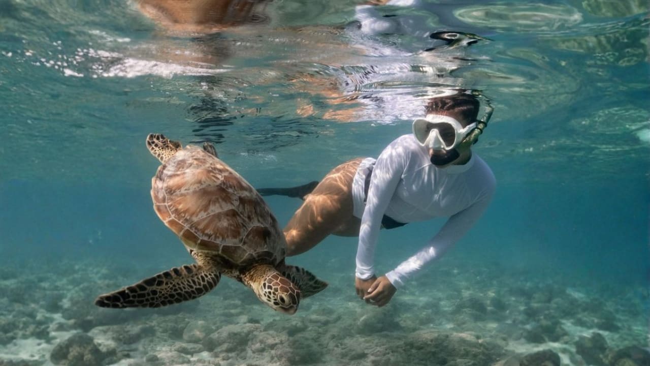 Best for Snorkeling & Diving