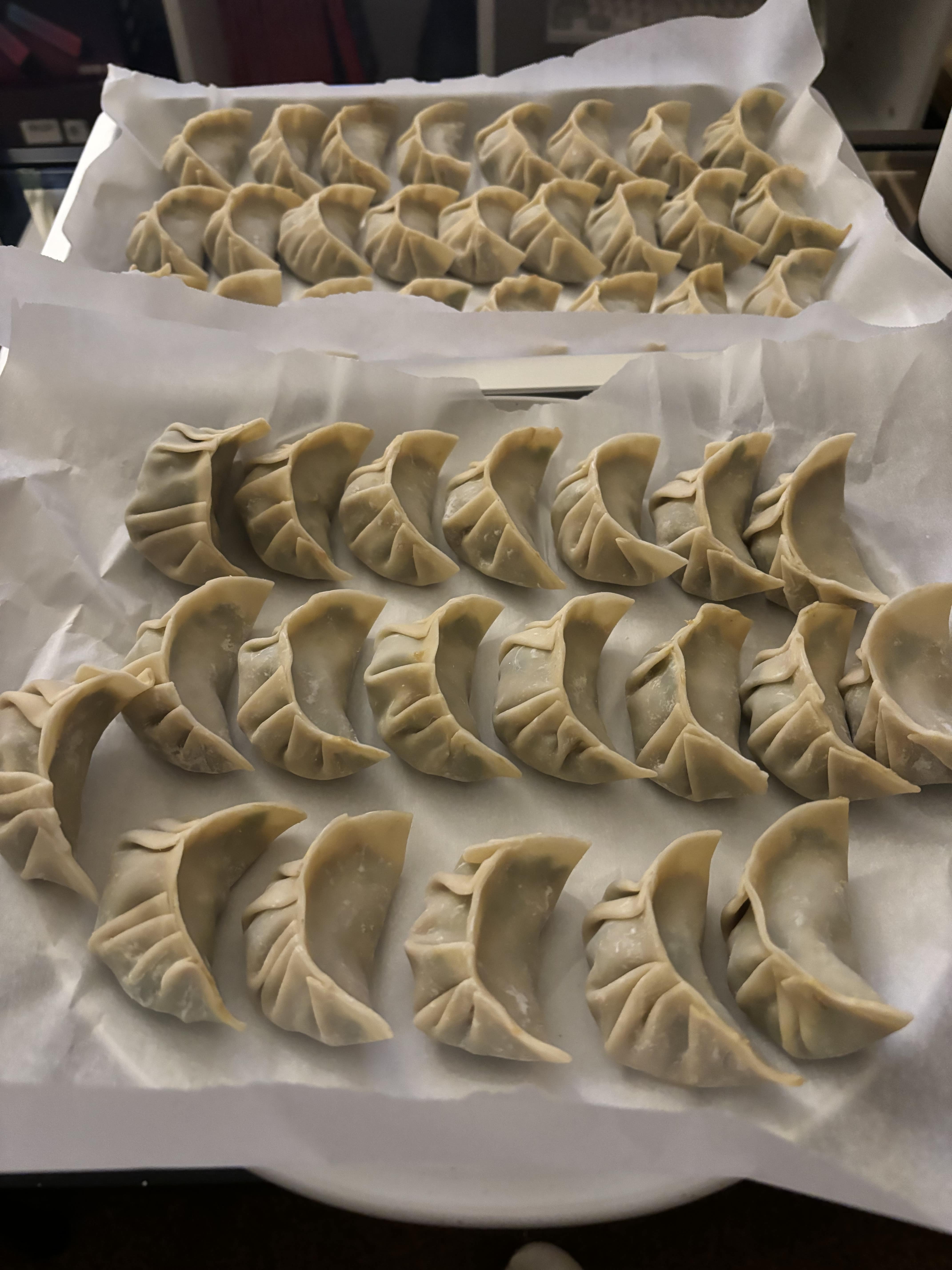 uncooked chive and pork dumplings on baking trays