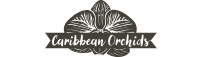 Caribbean Orchids