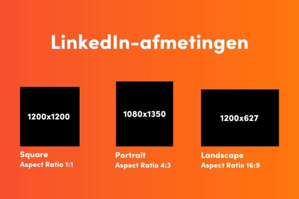 LinkedIn formaten 2024