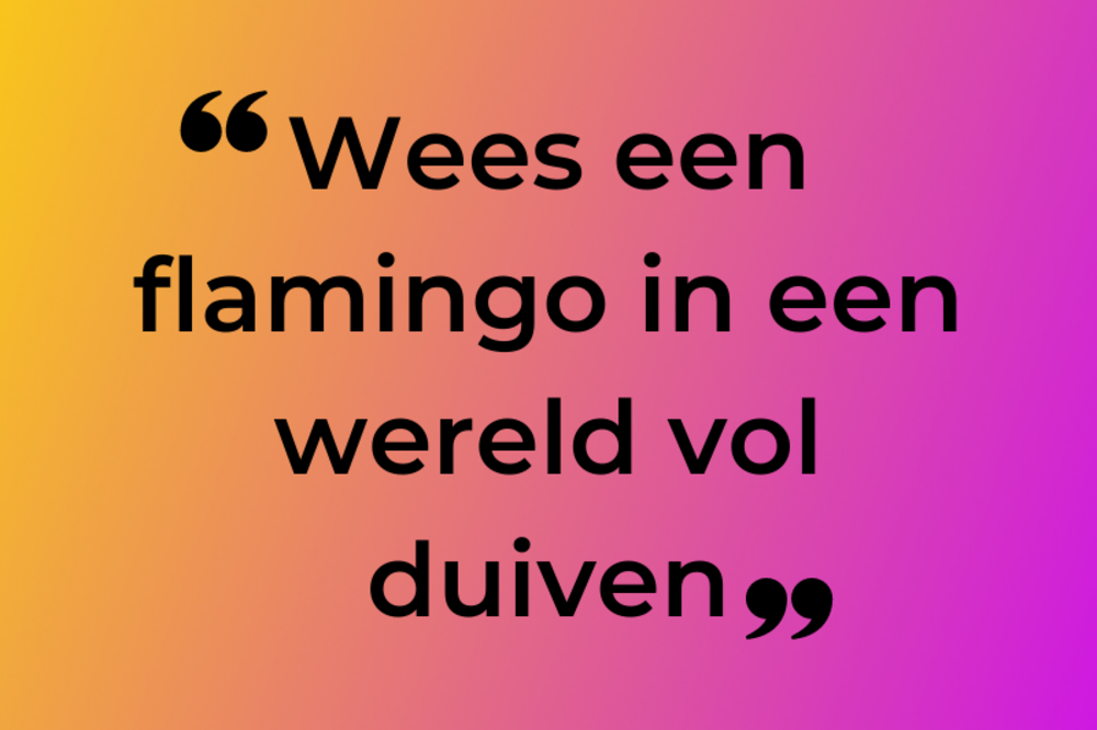 Starten met een online pt bedrijf