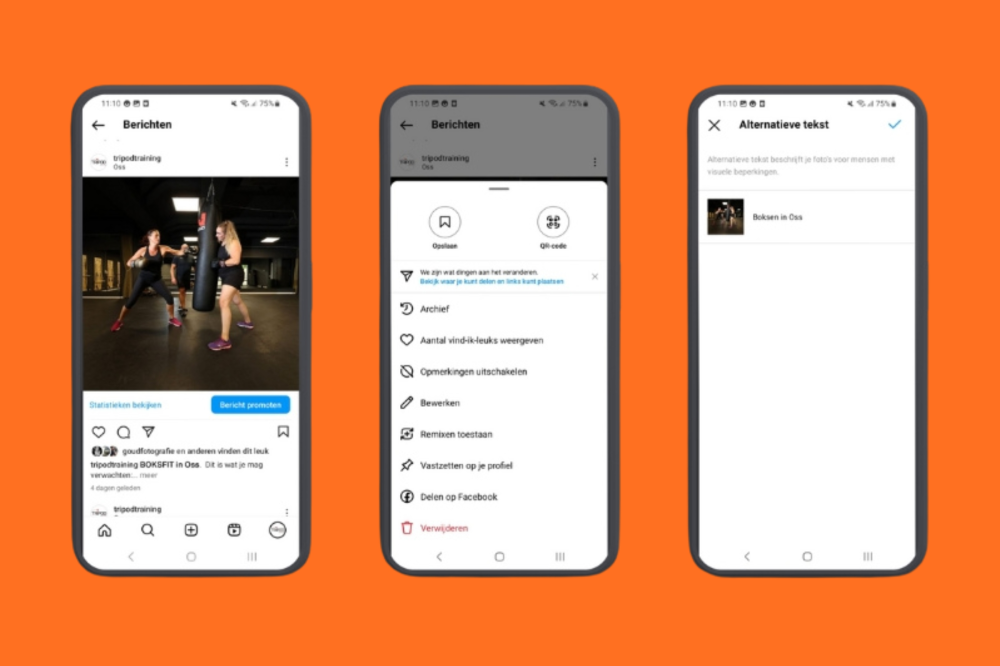 Voorbeeld SEO in Instagram alt-teksten toevoegen