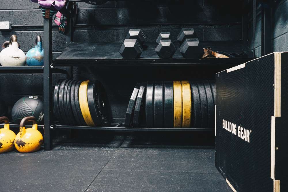 Gym gear: dumbbells and plates