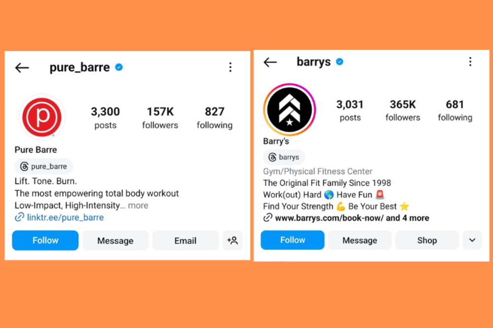 Dos perfiles de empresa de fitness Instagram