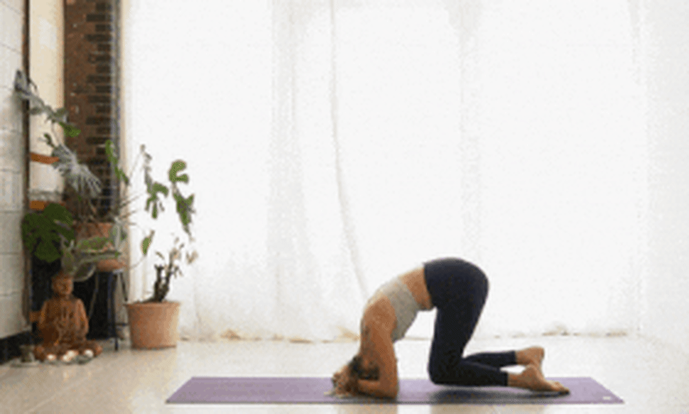 yoga software management