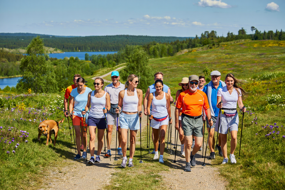 Gruppe Menschen macht Nordic Walking