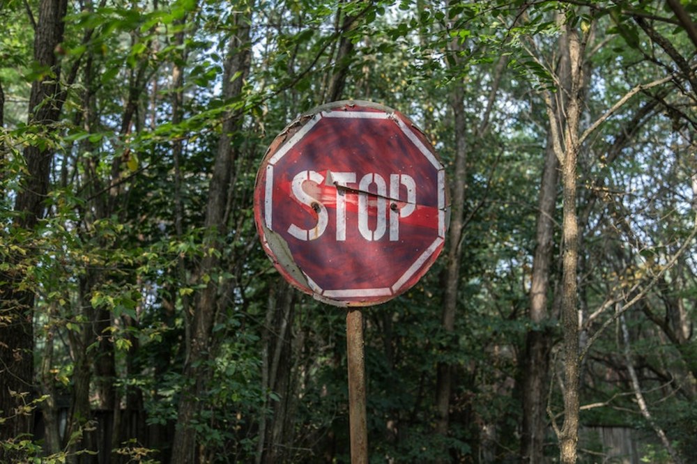 A red stop sign in a forest