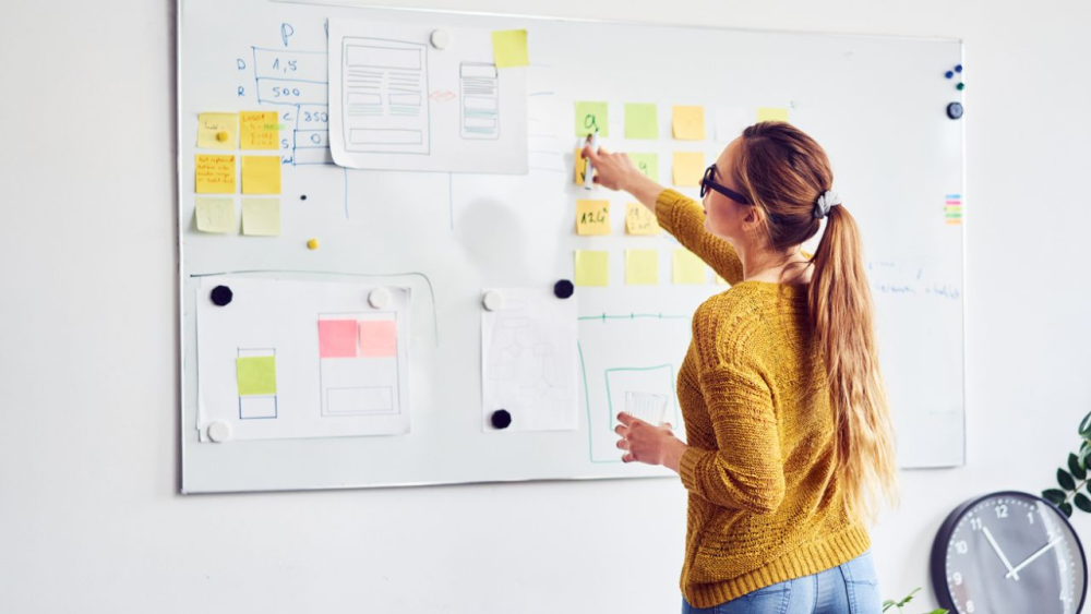 Business Woman Explain At The Huge Whiteboard Stock Photo, Picture