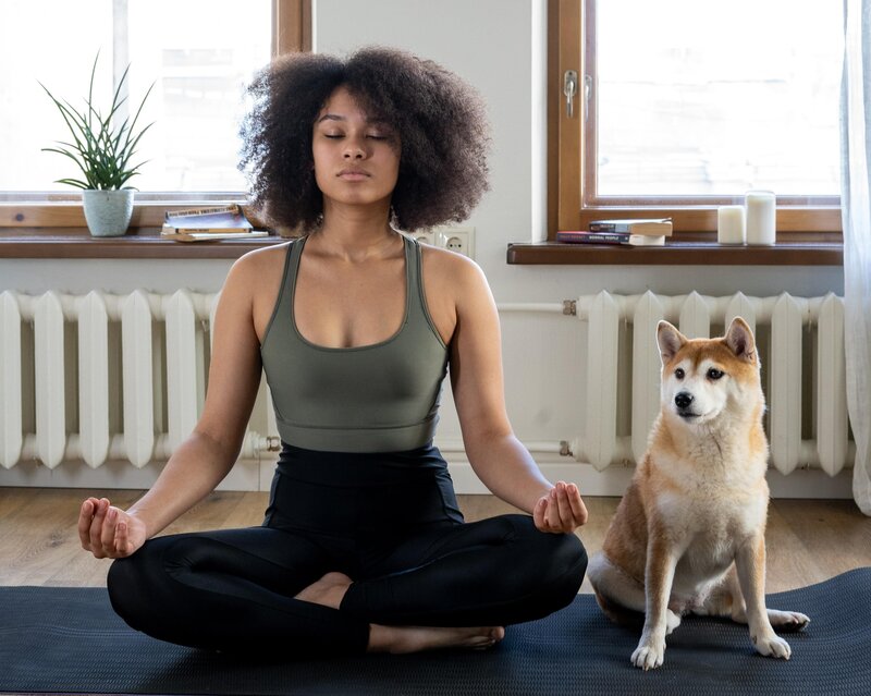 Frau, die Yoga mit ihrem Hund tut