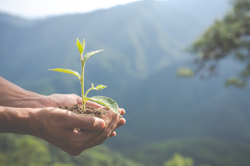 Nachhaltige Alternativen für die Umwelt und deine Finanzen