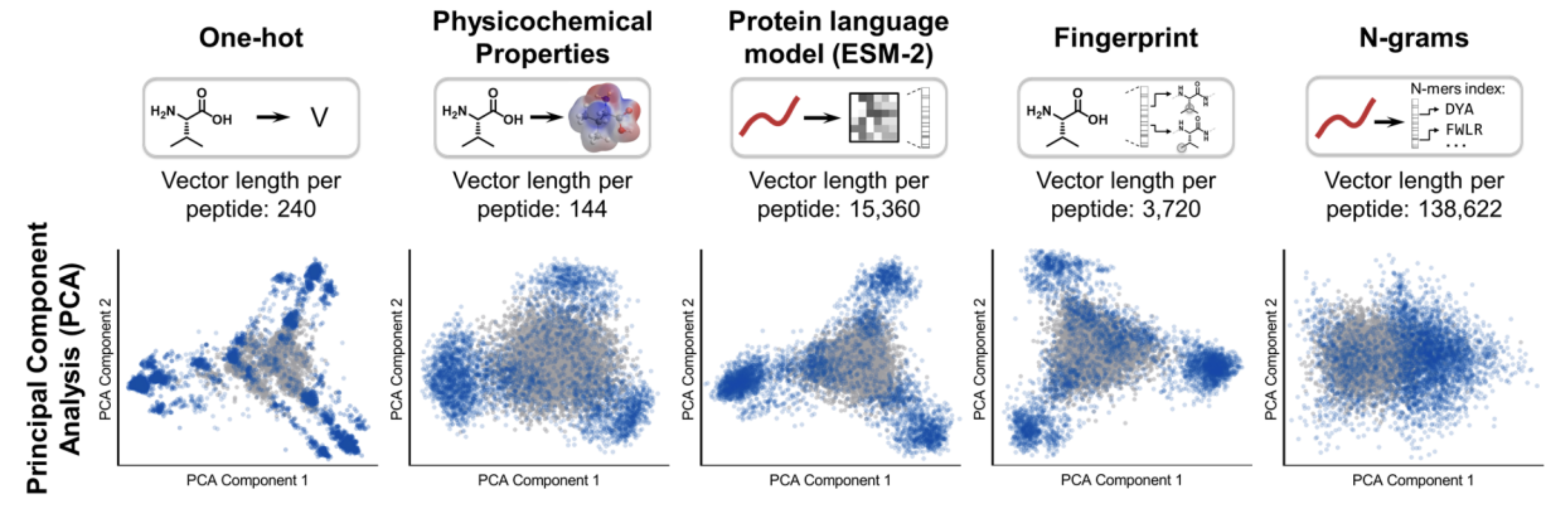 Unsupervised ML Peptide