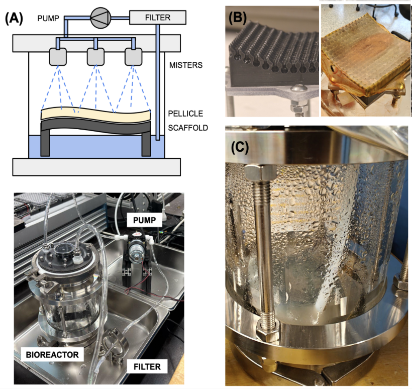 Aeroponic Bioreactor